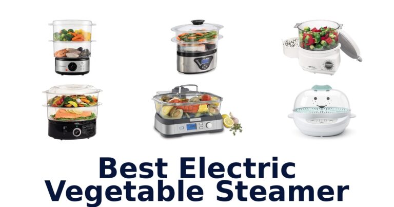 best electric vegetable steamer
