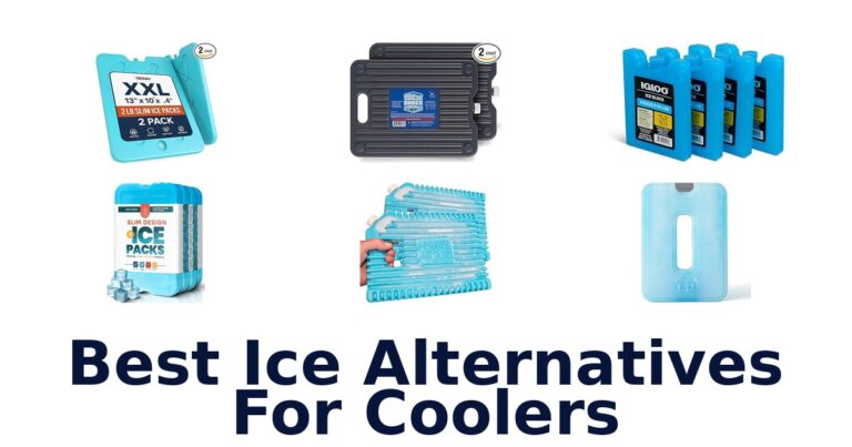 BEST Ice Alternatives for Coolers: Top 10 Picks best ice alternatives for coolers