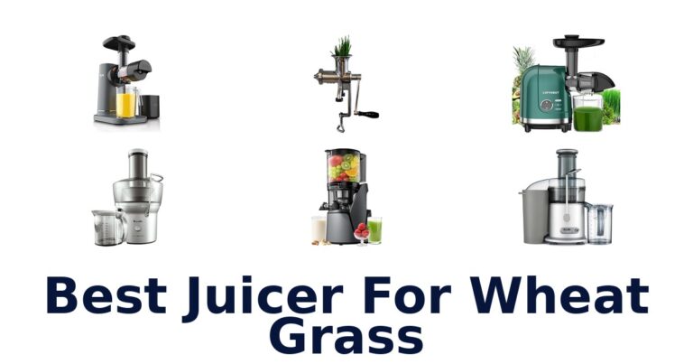 Best Wheat Grass Juicers: Top 10 Picks You Need best juicer for wheat grass