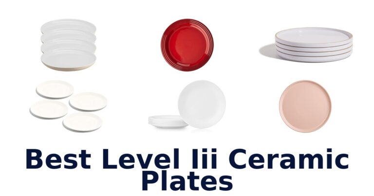 Best Level III Ceramic Plates: Top 10 Picks best level iii ceramic plates