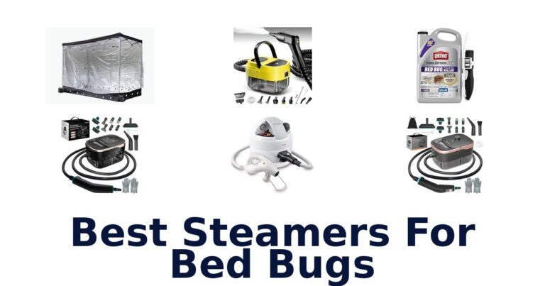 best steamers for bed bugs