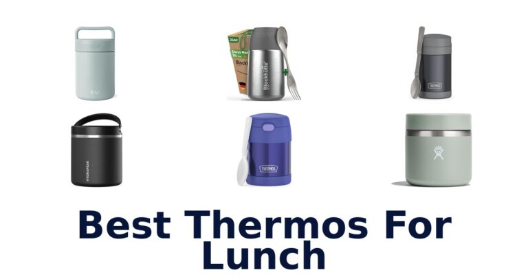Best Thermos for Lunch: Top 10 Picks for 2026 best thermos for lunch