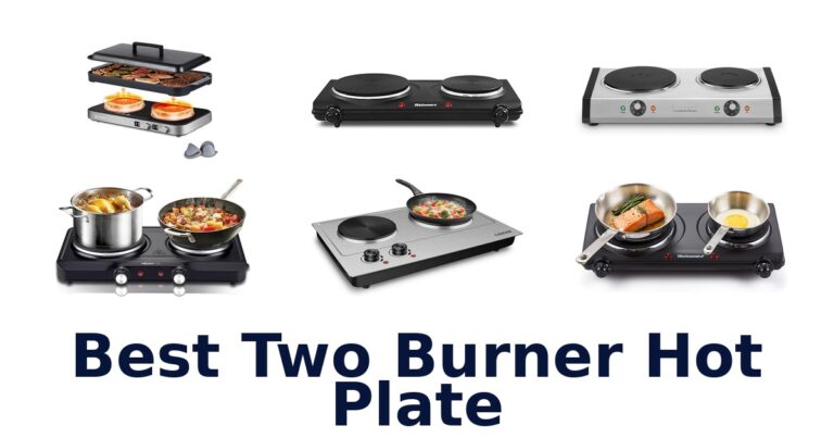 Best Two Burner Hot Plates: Top 10 Picks Reviewed best two burner hot plate