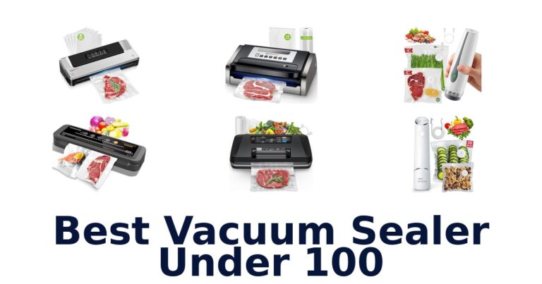 best vacuum sealer under 100