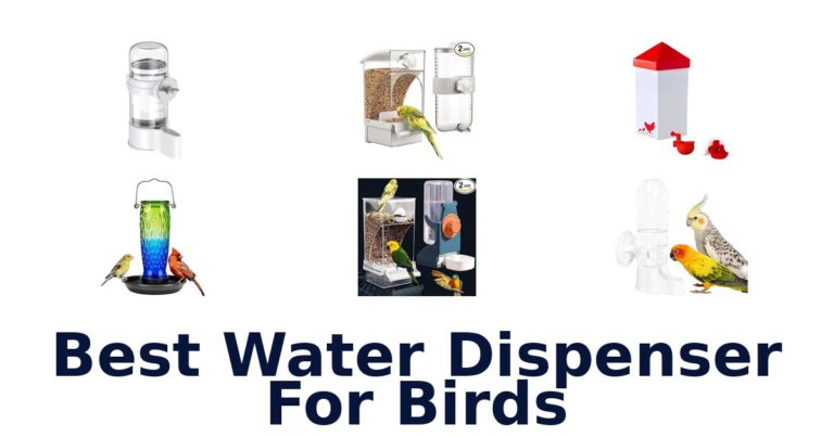 BEST Bird Water Dispensers: Top 10 Picks in 2026 best water dispenser for birds