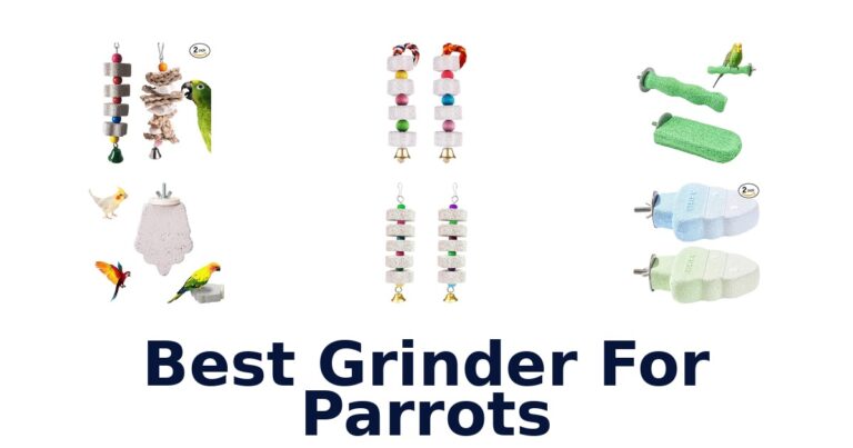 best grinder for parrots