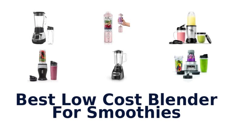 BEST Low Cost Smoothie Blenders: Top 10 Picks best low cost blender for smoothies