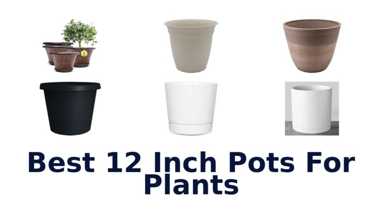 Best 12 Inch Pots For Plants