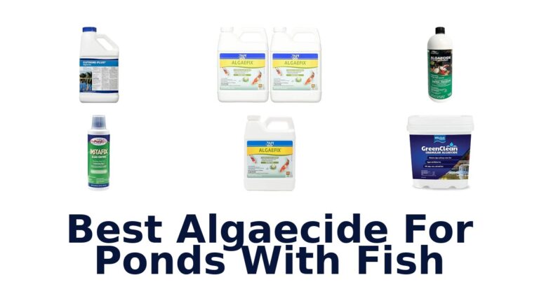 Best Algaecide For Ponds With Fish
