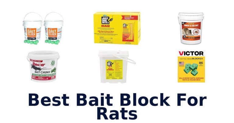 Best Bait Block For Rats: Compare 10 Rat Bait Options Best Bait Block For Rats