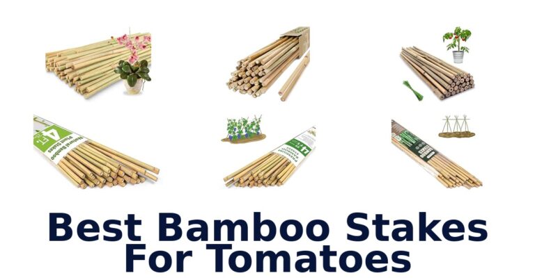 Best Bamboo Stakes For Tomatoes for Different Garden Setups Best Bamboo Stakes For Tomatoes