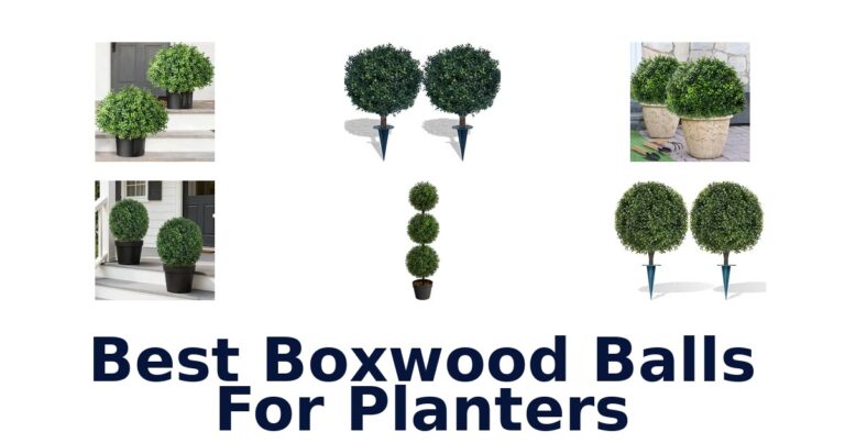 Best Boxwood Balls For Planters: 10 Artificial Options Compared Best Boxwood Balls For Planters