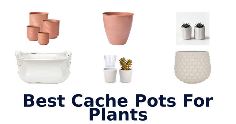 Best Cache Pots For Plants for Different Plant-Care Needs Best Cache Pots For Plants