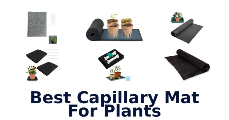 Best Capillary Mat For Plants: 10 Mats Compared Best Capillary Mat For Plants