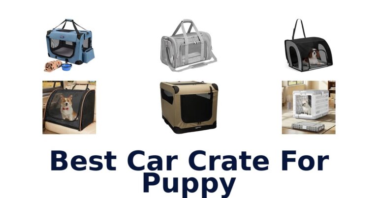 Best Car Crate For Puppy