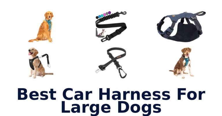 Best Car Harness For Large Dogs: Compare 10 Options Best Car Harness For Large Dogs