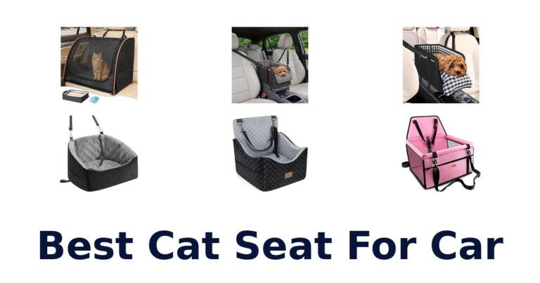 Best Cat Seat For Car