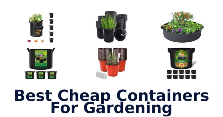 Best Cheap Containers For Gardening Best Cheap Containers For Gardening