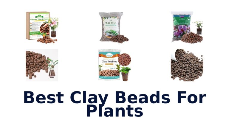 Best Clay Beads For Plants