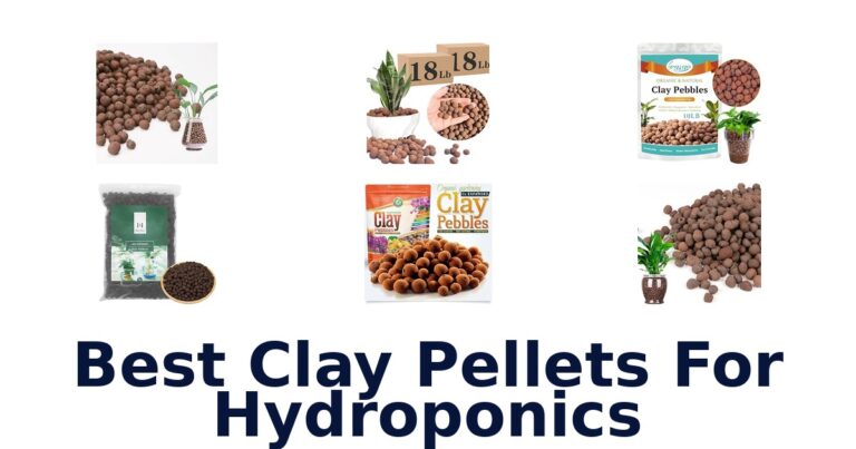 Best Clay Pellets For Hydroponics