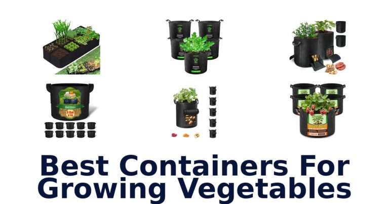 Best Containers For Growing Vegetables