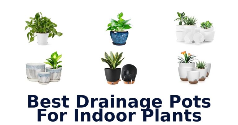 Best Drainage Pots For Indoor Plants: 10 Options Compared Best Drainage Pots For Indoor Plants