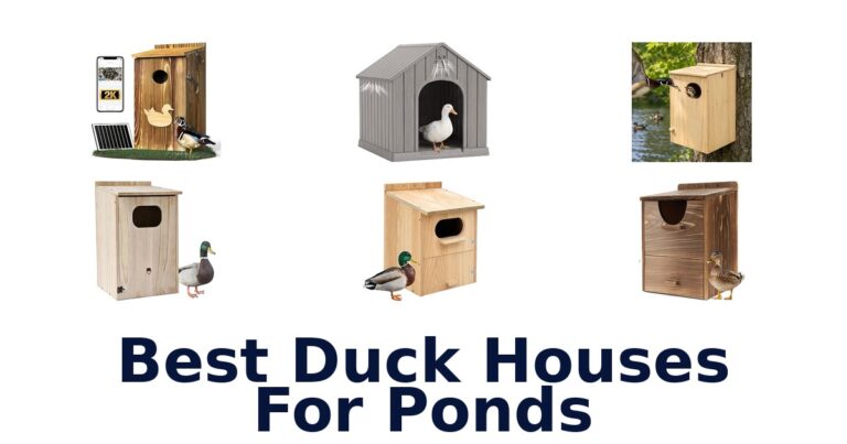 Best Duck Houses For Ponds for Wood Ducks and Waterfowl Best Duck Houses For Ponds