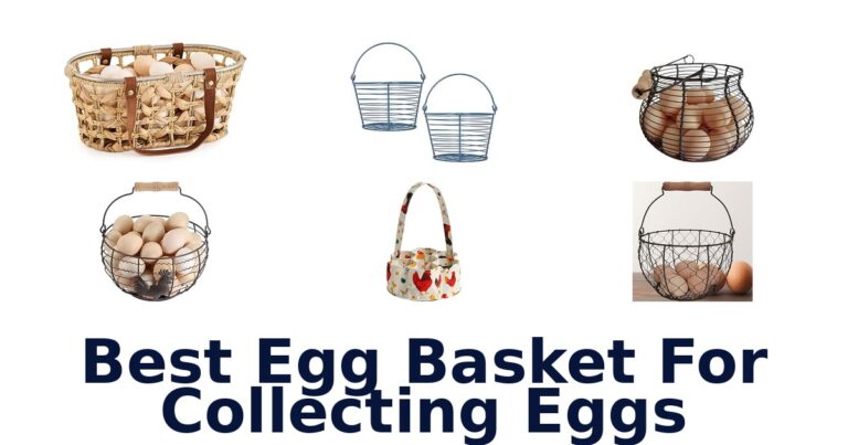 Best Egg Basket For Collecting Eggs for Coop-to-Kitchen Carrying Best Egg Basket For Collecting Eggs