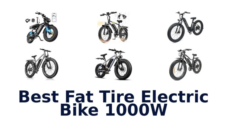 Best Fat Tire Electric Bike 1000W