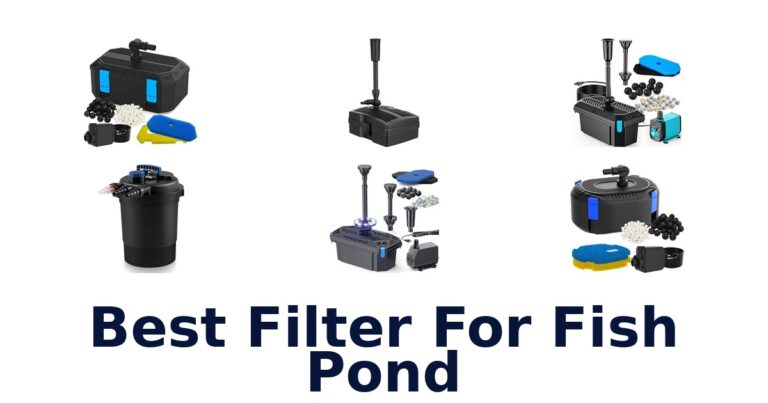 Best Filter For Fish Pond: 10 Pressure and Pump Options Best Filter For Fish Pond