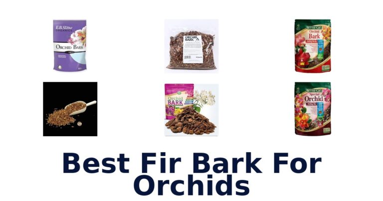 Best Fir Bark For Orchids for Different Root and Pot Sizes Best Fir Bark For Orchids