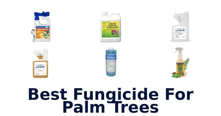 Best Fungicide For Palm Trees