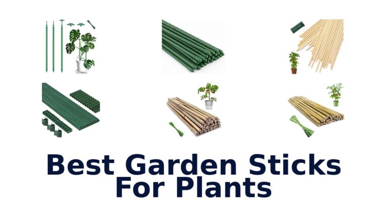 Best Garden Sticks For Plants for Pots, Tomatoes, and Vines Best Garden Sticks For Plants