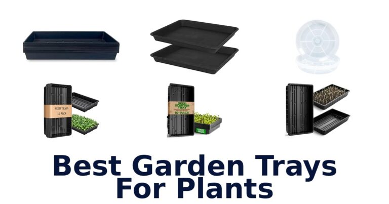 Best Garden Trays For Plants: Seedling, Potting, and Drip Options Best Garden Trays For Plants