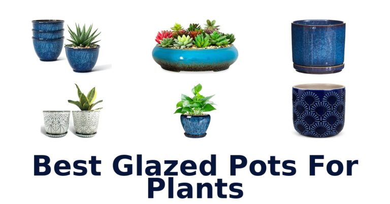 Best Glazed Pots For Plants