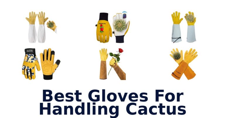 Best Gloves For Handling Cactus: 10 Options Compared Best Gloves For Handling Cactus