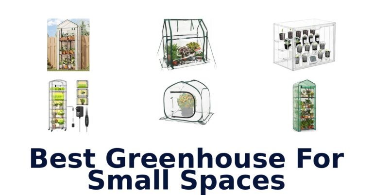 Best Greenhouse For Small Spaces