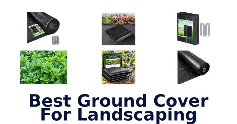 Best Ground Cover For Landscaping for Beds, Paths, and Planting Best Ground Cover For Landscaping