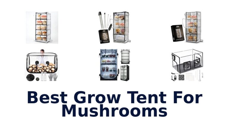 Best Grow Tent For Mushrooms