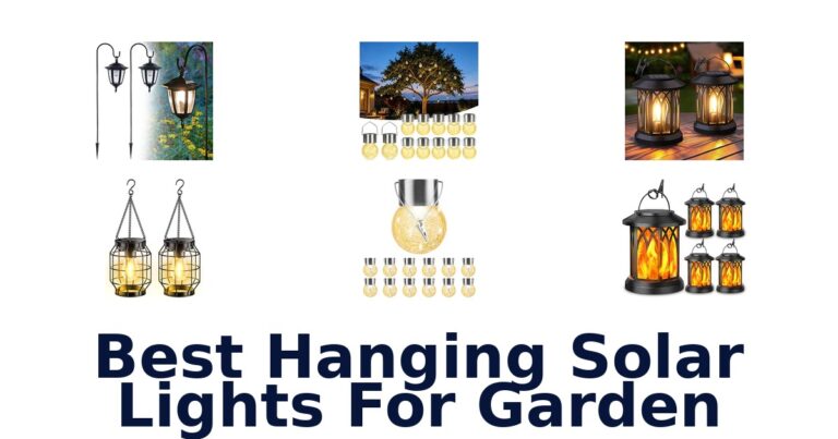 Best Hanging Solar Lights For Garden