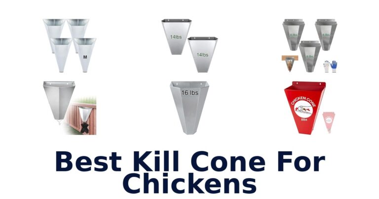 Best Kill Cone For Chickens