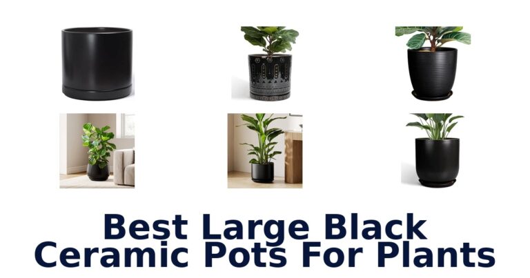 Best Large Black Ceramic Pots For Plants
