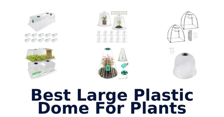 Best Large Plastic Dome For Plants: Compare Garden Cloches Best Large Plastic Dome For Plants