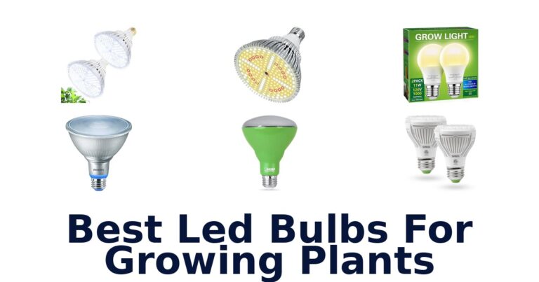 Best Led Bulbs For Growing Plants