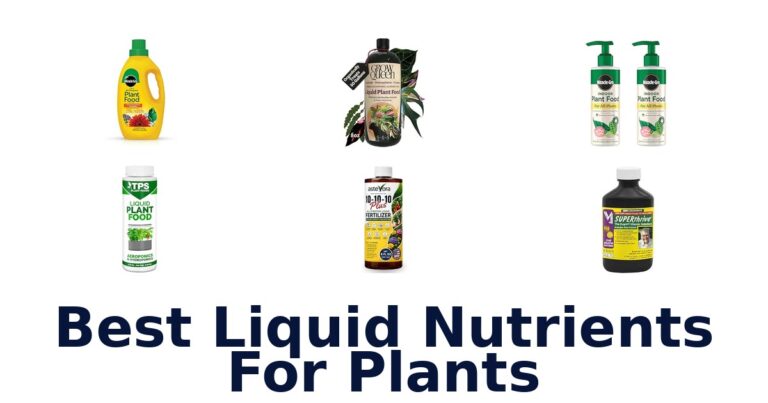 Best Liquid Nutrients For Plants