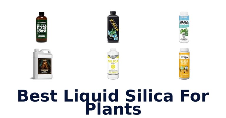 Best Liquid Silica For Plants