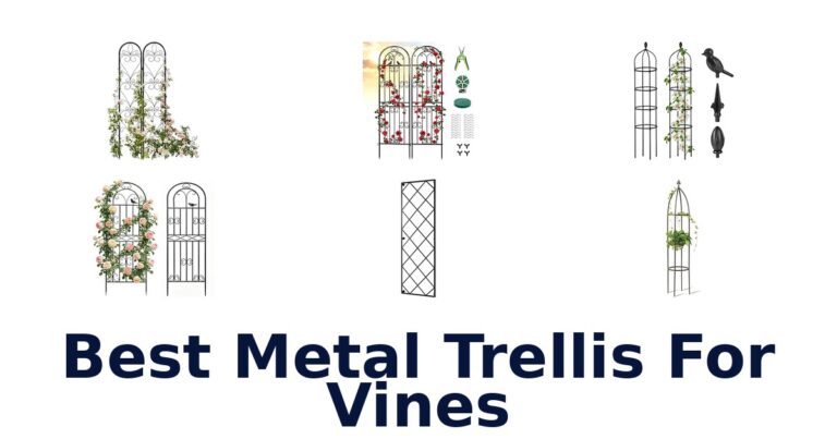 Best Metal Trellis For Vines for Beds, Pots and Walls Best Metal Trellis For Vines