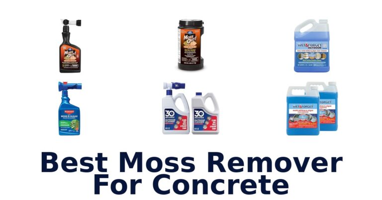 Best Moss Remover For Concrete
