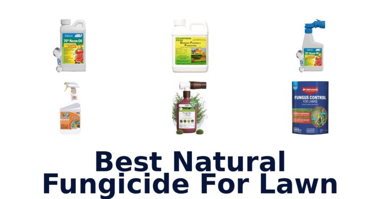 Best Natural Fungicide For Lawn