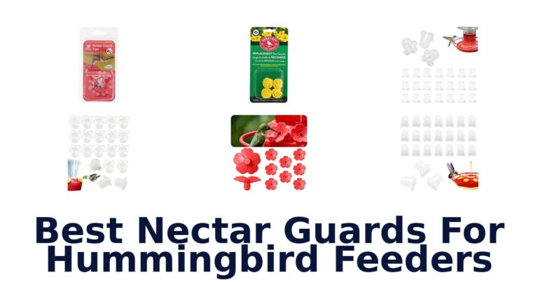Best Nectar Guards For Hummingbird Feeders Best Nectar Guards For Hummingbird Feeders